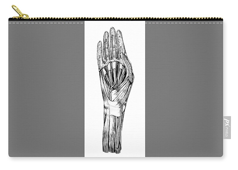 Anatomical Zip Pouch featuring the digital art Carpe Diem Hand Dissection by Russell Kightley