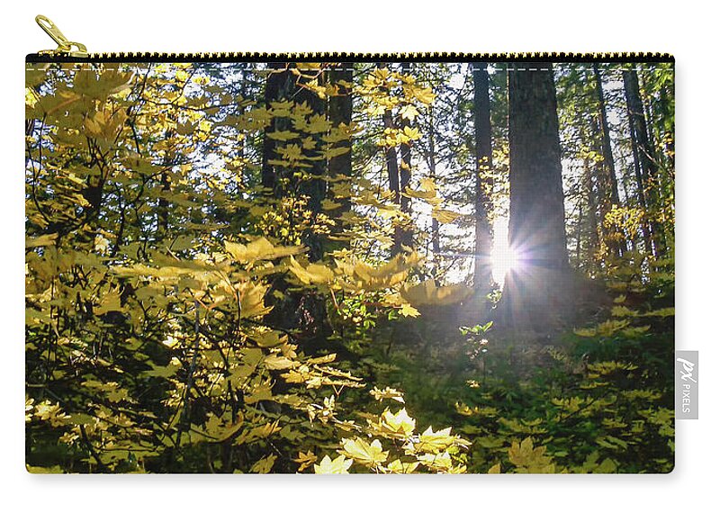 Forests Zip Pouch featuring the photograph Cascade Fall Colors by Steven Clark