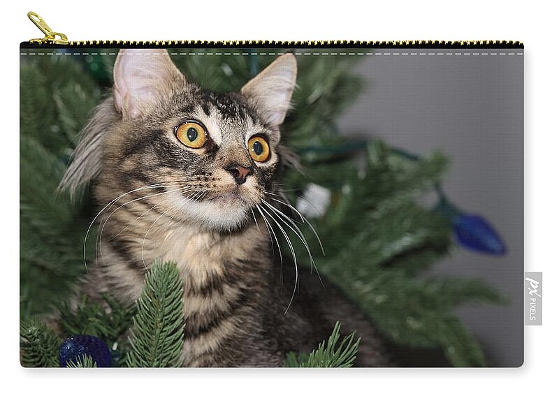 Maine Coon Carry-all Pouch featuring the photograph Cat in a Christmas Tree by Mingming Jiang