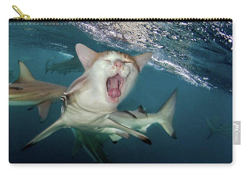 Cat Shark Carry-all Pouch by Dray Van Beeck - Fine Art America