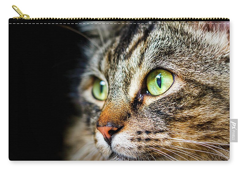 Cat Carry-all Pouch featuring the photograph Cat Stare by Rick Deacon