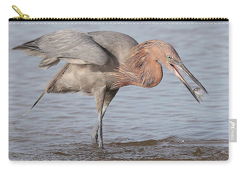 Reddish Egret Zip Pouch featuring the photograph Catch is not Secured Yet by Mingming Jiang
