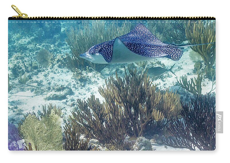 Grand Cayman Carry-all Pouch featuring the photograph Catch Me If You Can by Lynne Browne