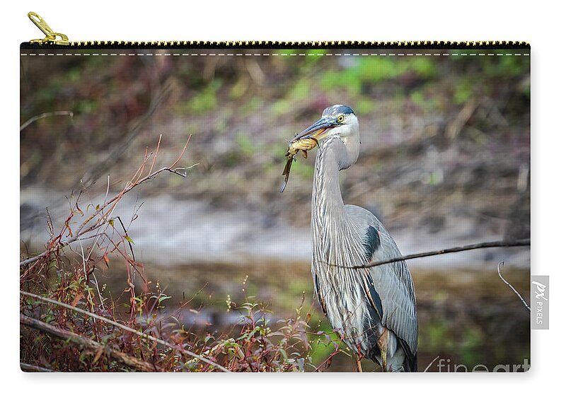 Wildlife Zip Pouch featuring the photograph Catfishing by DB Hayes
