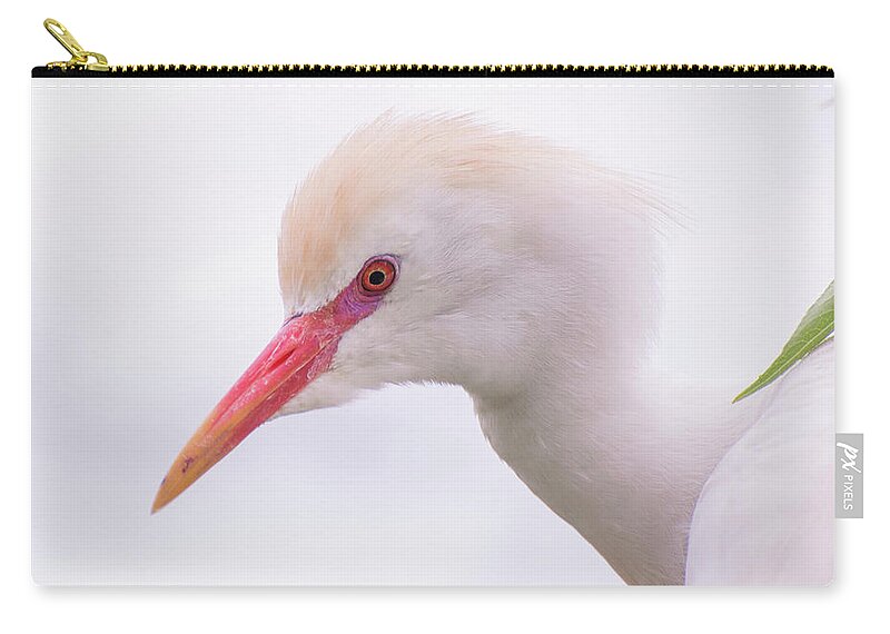 Cattle Zip Pouch featuring the photograph Cattle Egret by Carolyn Hutchins