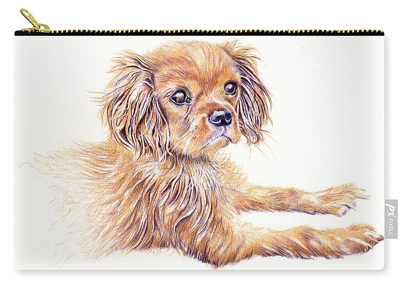 Dog Zip Pouch featuring the painting Cavalier King Charles Dog by Debra Hall