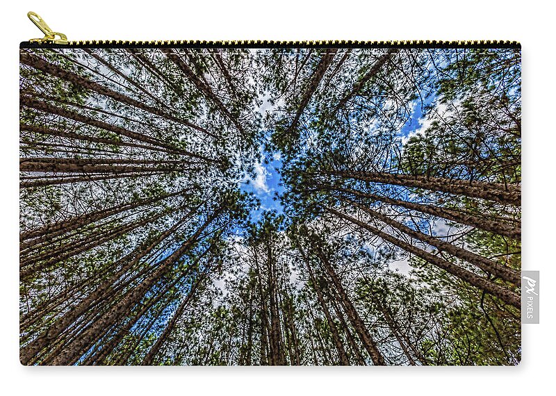 Higgins Lake Carry-all Pouch featuring the photograph CCC Pines Lookup by Joe Holley