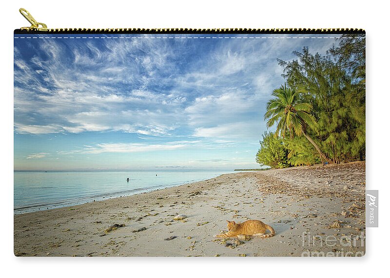 Cat Carry-all Pouch featuring the photograph CeCe the Beach Cat by Becqi Sherman
