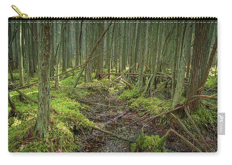 New Jersey Carry-all Pouch featuring the photograph Cedar Swamp at Franklin Parker Preserve by Kristia Adams