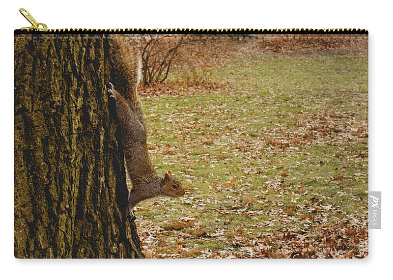 Central Park Zip Pouch featuring the photograph Central Park Squirrel by Rodrigo Bacigalupe Lazo