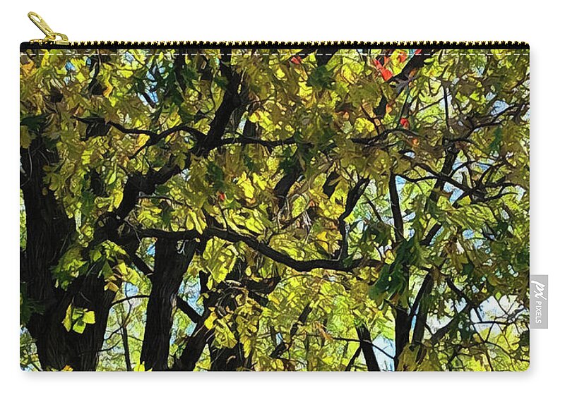 Trees Zip Pouch featuring the photograph Change of Season by Tim Nyberg