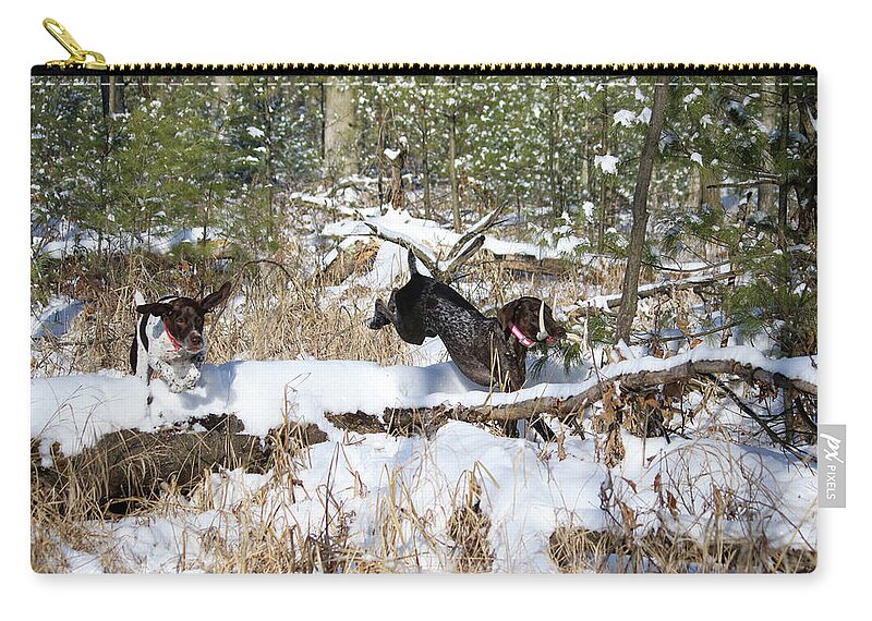 German Shorthaired Pointers Zip Pouch featuring the photograph Chase with Shed Antler by Brook Burling