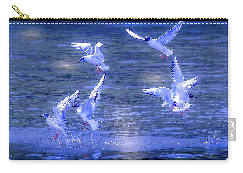 Chasing The Light Zip Pouch featuring the photograph Chasing the Light by David Wagenblatt