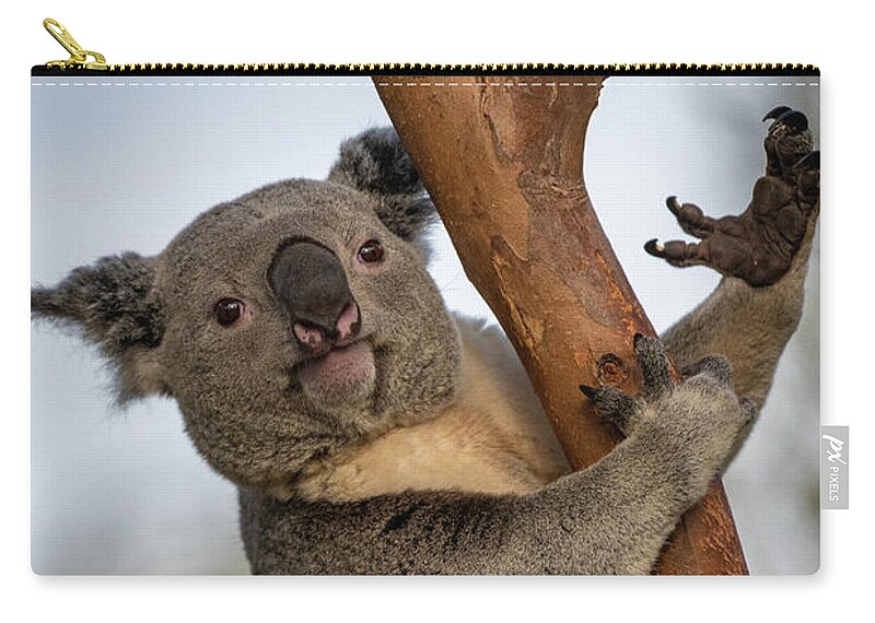 San Diego Zoo Zip Pouch featuring the photograph Check My Mighty Claw by David Levin