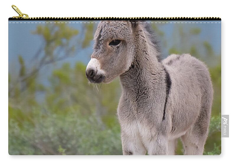 Wild Burro Zip Pouch featuring the photograph Checking out the World by Mary Hone