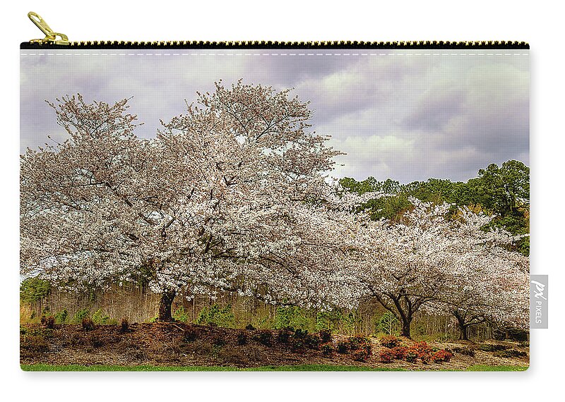 Cherry Blossoms Zip Pouch featuring the photograph Cherry Blossoms So Lovely and Fleeting by Ola Allen