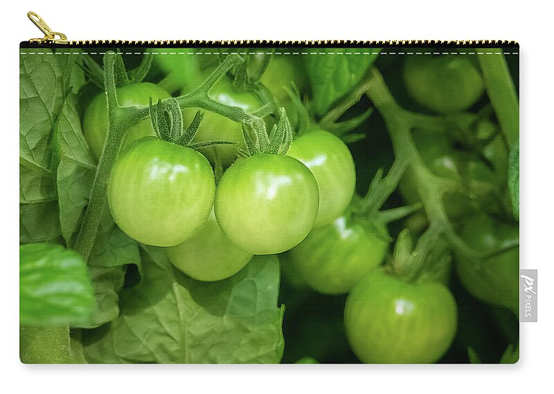 Vegetable Zip Pouch featuring the photograph Cherry Green by John Kirkland