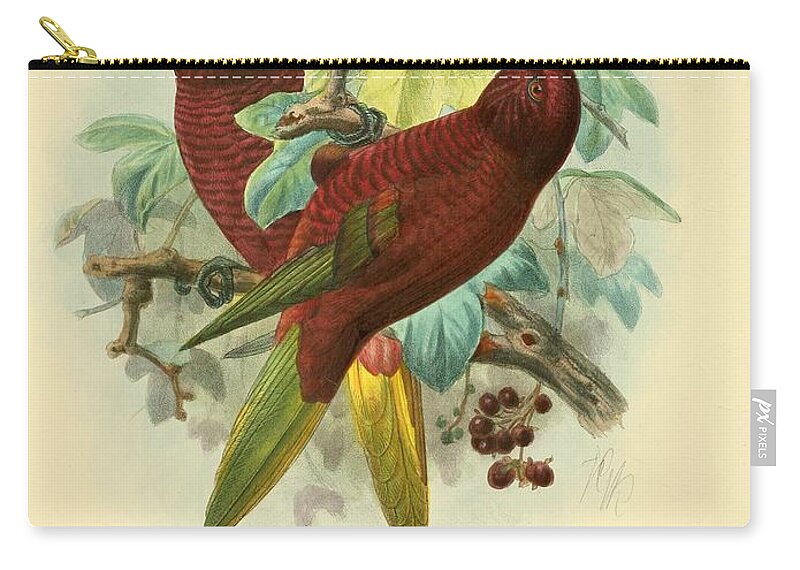 Bird Zip Pouch featuring the mixed media Cherry Red Lory by World Art Collective