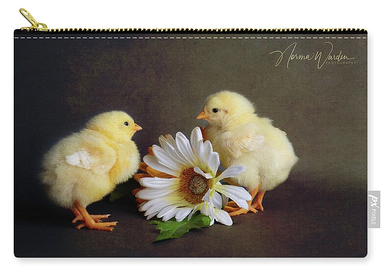 Chicks Zip Pouch featuring the photograph Chicks Series - Yellow Chicks with Flower by Norma Warden