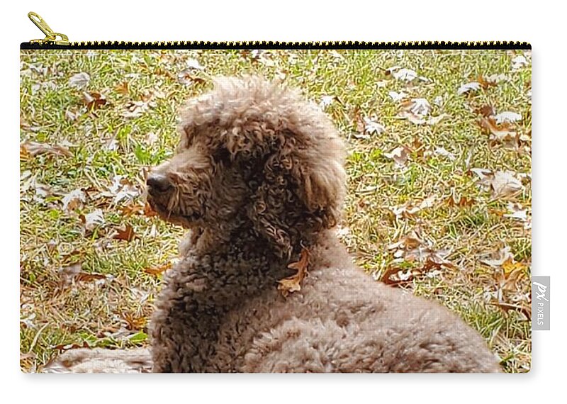 Standard Zip Pouch featuring the photograph Chillaxing by Gigi Dequanne