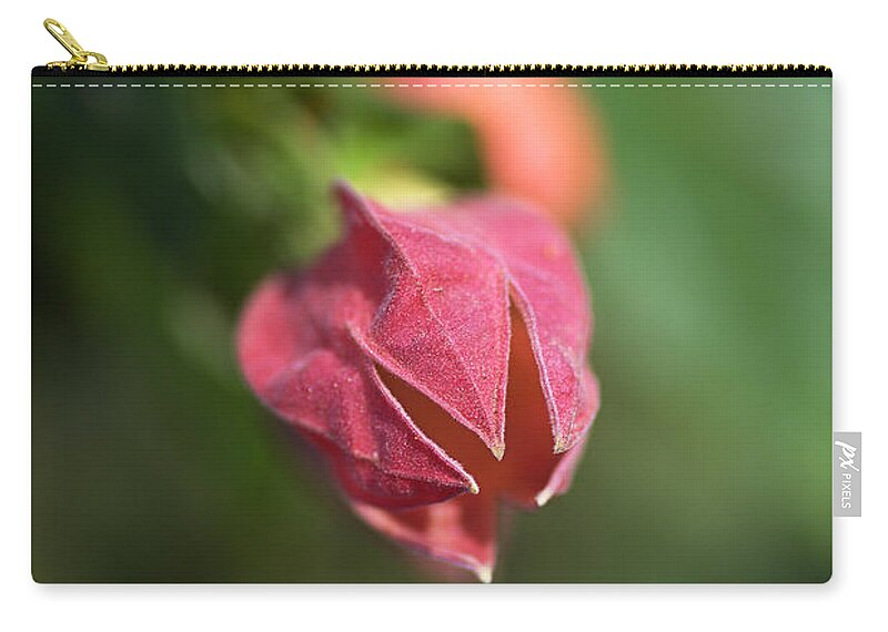 Chinese Lantern Growing Zip Pouch featuring the photograph Chinese Lantern Growing by Joy Watson
