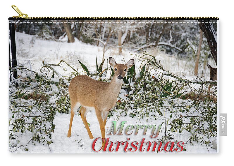 Forest Zip Pouch featuring the photograph Christmas doe in the snow by Gunther Allen