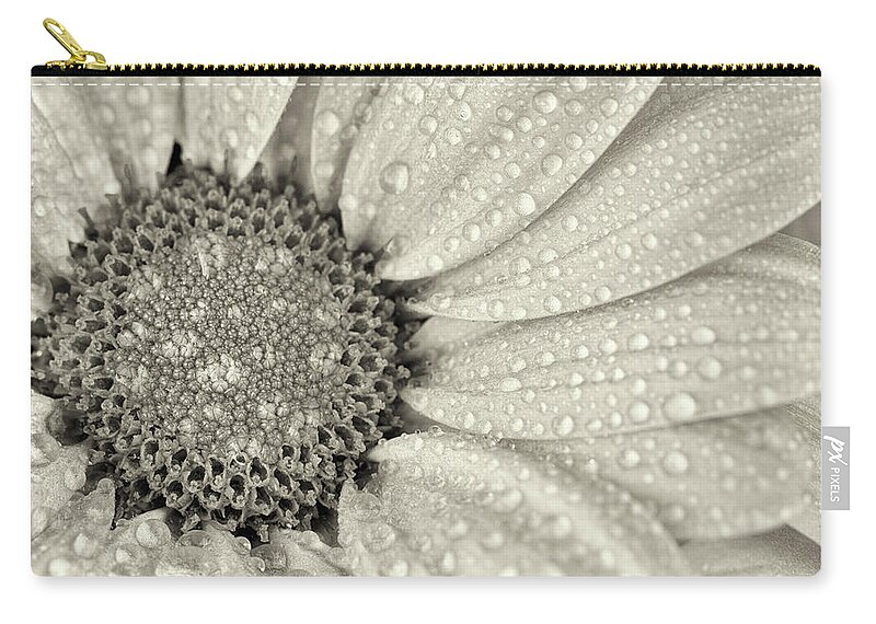 Flower Zip Pouch featuring the photograph Chrysanthemum Macro bw 1 by Tanya C Smith