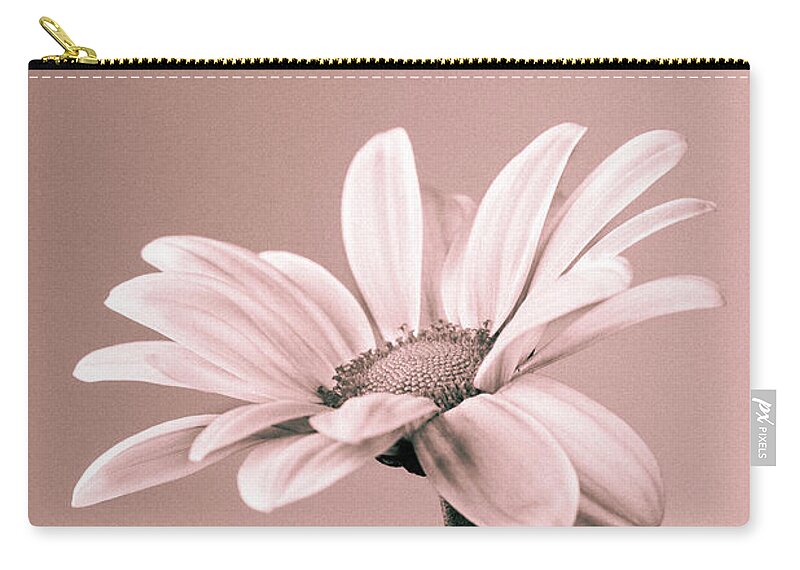 Flower Zip Pouch featuring the photograph Chrysanthemum Monochrome by Tanya C Smith