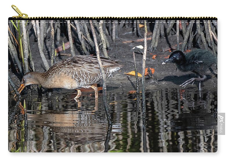 Clapper Rail Zip Pouch featuring the photograph Clapper Rail with Chick by Bradford Martin