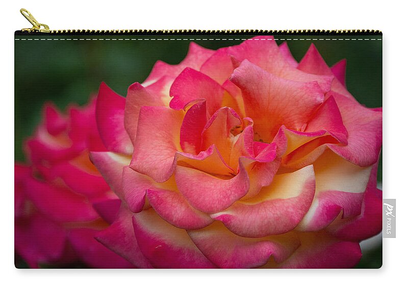 Rose Carry-all Pouch featuring the photograph Classic Beauty with a Twist by Linda Bonaccorsi