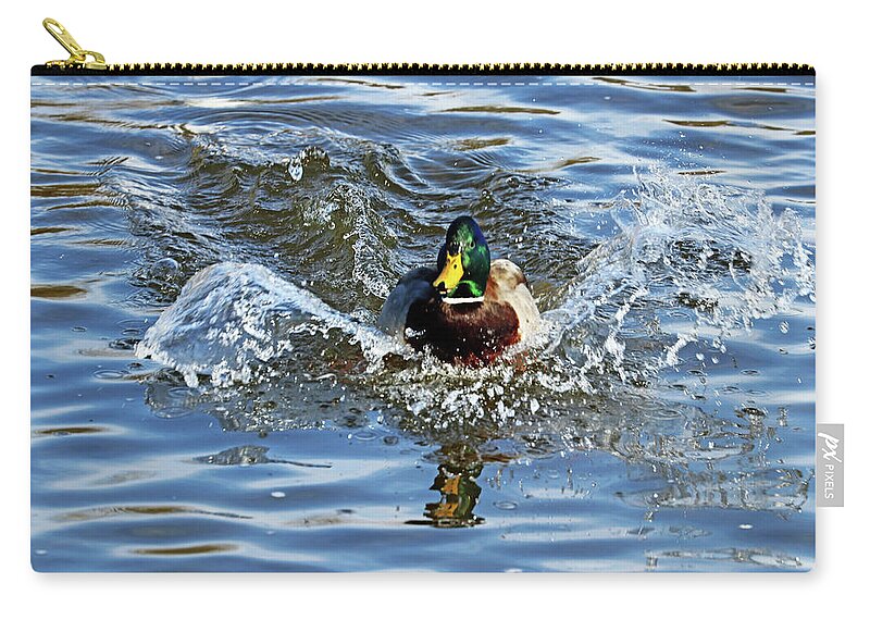 Mallard Zip Pouch featuring the photograph Classic Splashy Landing by Debbie Oppermann