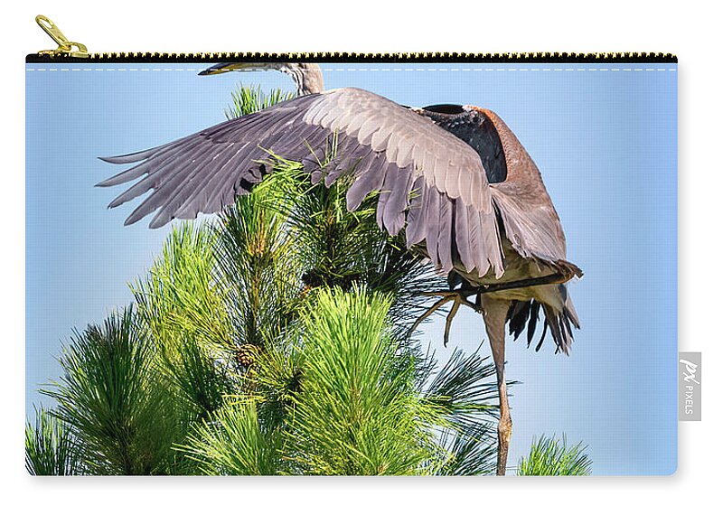 Bird Zip Pouch featuring the photograph Climbing Heron by Al Mueller