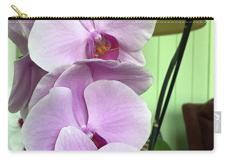 Pink Carry-all Pouch featuring the photograph Climbing the Ladder by Vivian Aumond
