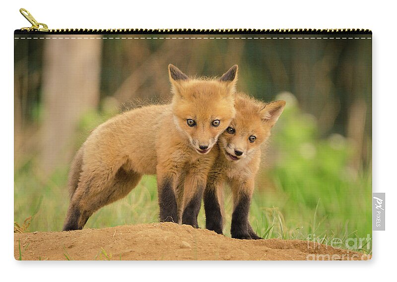 Close to You Baby Red Fox Photograph Carry-all Pouch by PIPA Fine Art -  Simply Solid - Fine Art America