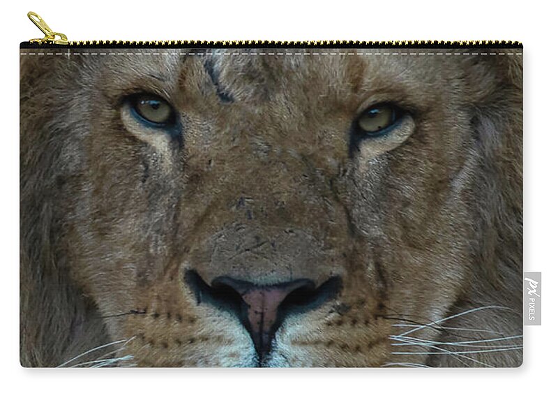 Close-up Zip Pouch featuring the photograph Close-up Lion by Marjolein Van Middelkoop