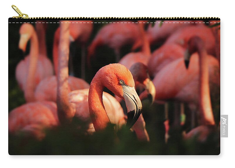 American Flamingo Zip Pouch featuring the photograph Head american flamingo, Phoenicopterus ruber, from bushes by Vaclav Sonnek