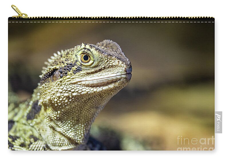 Eastern Water Dragon Zip Pouch featuring the photograph Close up portrait of an Eastern Water Dragon, Intellagama lesueurii, an arboreal agamid found near rivers and creeks. Sydney, Australia. by Jane Rix