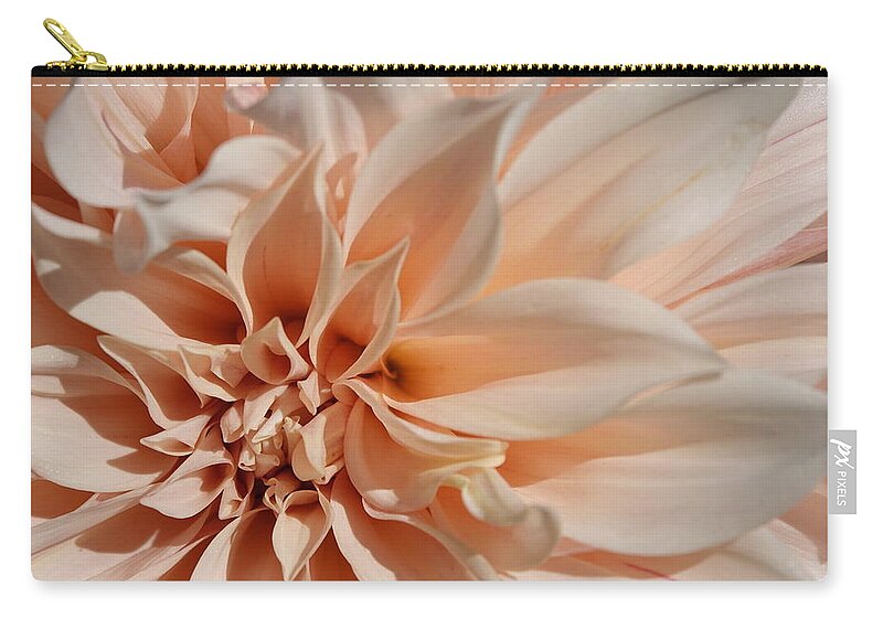 Dahlia Zip Pouch featuring the photograph Closeup Of Beautiful Pastel Dahlia Flower by Lyuba Filatova