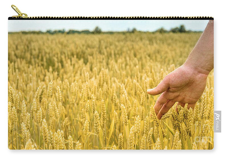 Wheat Zip Pouch featuring the photograph Closeup of farmer's hand over wheat by Jelena Jovanovic
