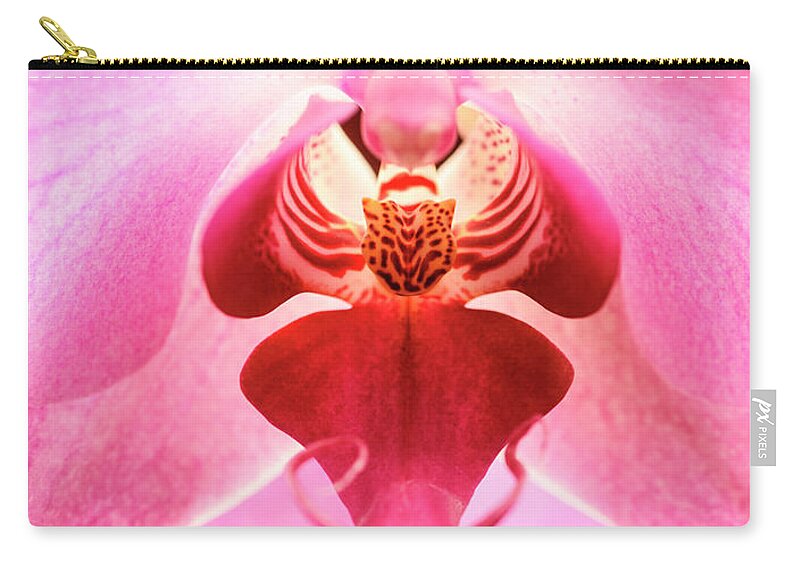 Orchid Zip Pouch featuring the photograph Closeup of pink orchid flower by Jelena Jovanovic
