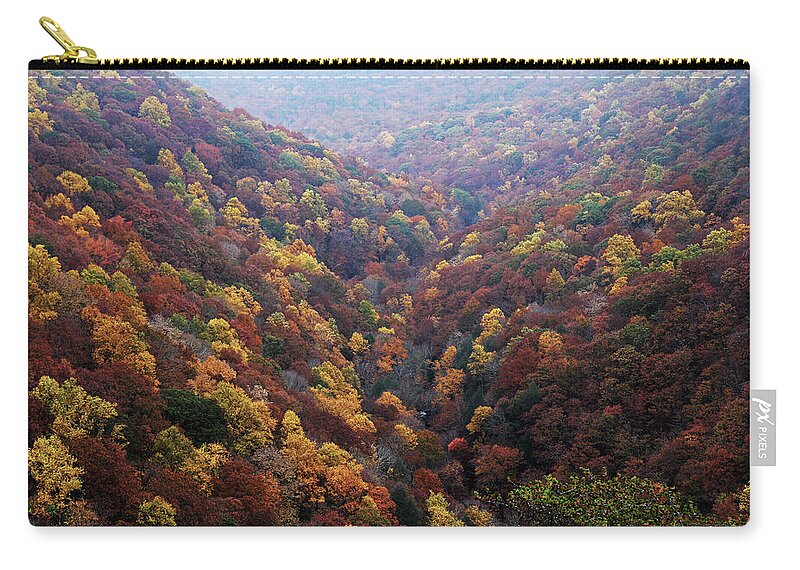 Cloudland Canyon Carry-all Pouch featuring the photograph Cloudland Canyon, Ga. by Richard Krebs