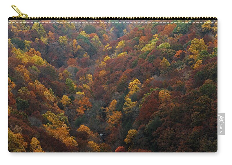 Cloudland Canyon Carry-all Pouch featuring the photograph Cloudland Canyon - Georgia by Richard Krebs