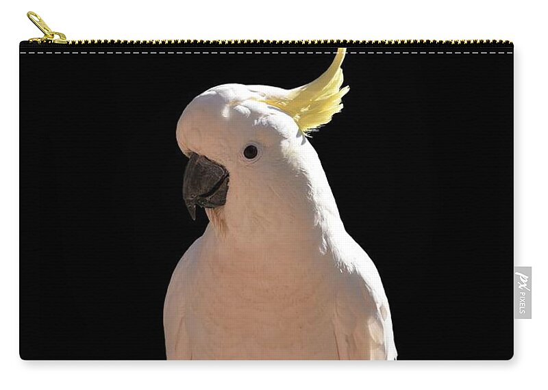 Cockatoos Zip Pouch featuring the photograph Cockatoo at Sundial Apartments by Yolanda Caporn