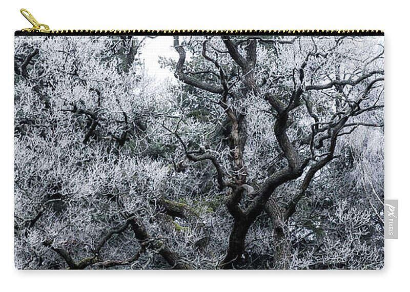 Winter Zip Pouch featuring the photograph Cold Winter Tree by Nicklas Gustafsson