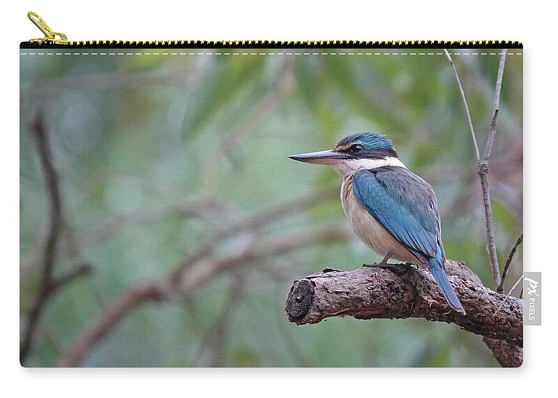 Animals Zip Pouch featuring the photograph Sacred Kingfisher Perched by Maryse Jansen