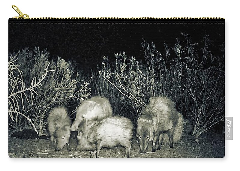 Animals Carry-all Pouch featuring the photograph Collared Peccary or Javelina Herd at Night by Judy Kennedy