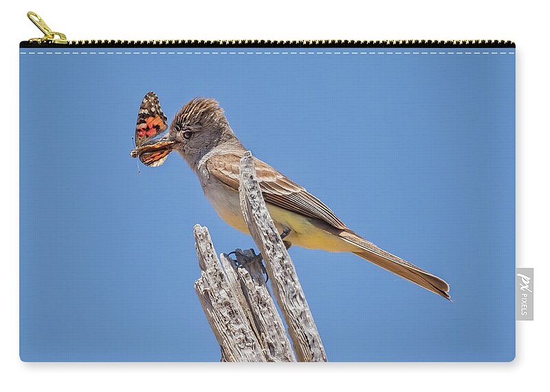 Ash-throated Flycatcher Zip Pouch featuring the photograph Colorful Catch by Jurgen Lorenzen