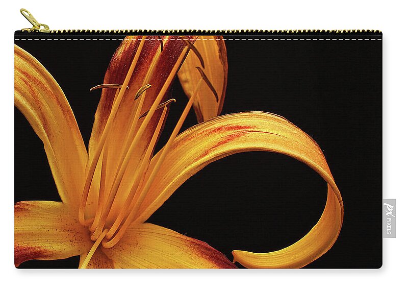 Flower Zip Pouch featuring the photograph Colorful Curls by Judy Vincent