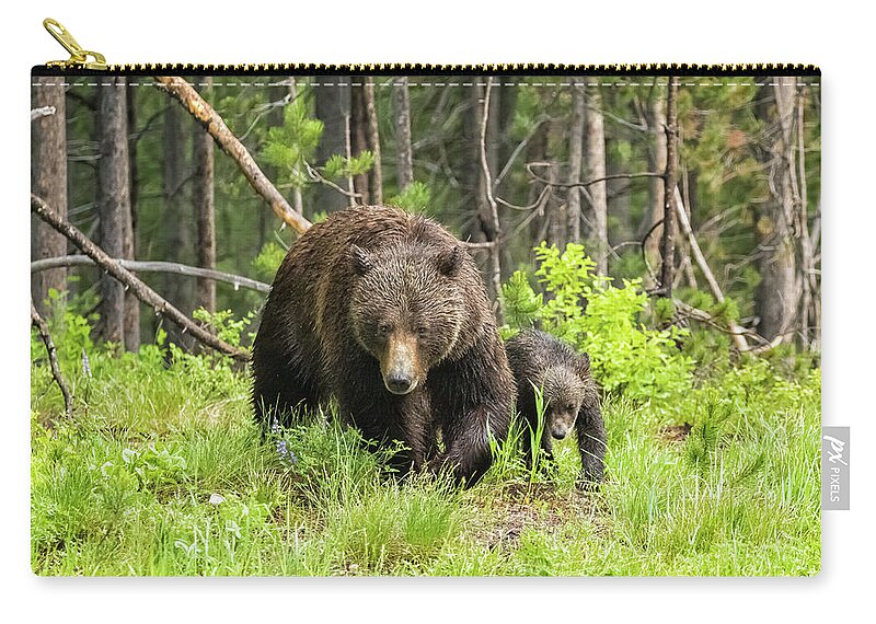Grizzly Zip Pouch featuring the photograph Coming Through - Grizzly 399 and One of Her Cubs by Belinda Greb