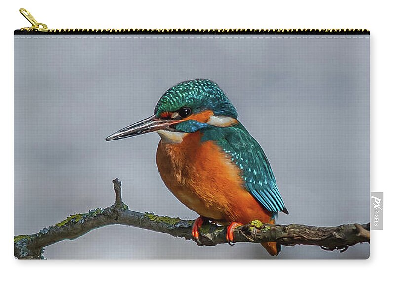Kingfisher Carry-all Pouch featuring the photograph Common Kingfisher, Acedo Atthis, Sits On Tree Branch Watching For Fish by Andreas Berthold